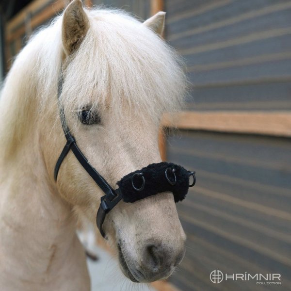 Zoom bild av hrimnir träns