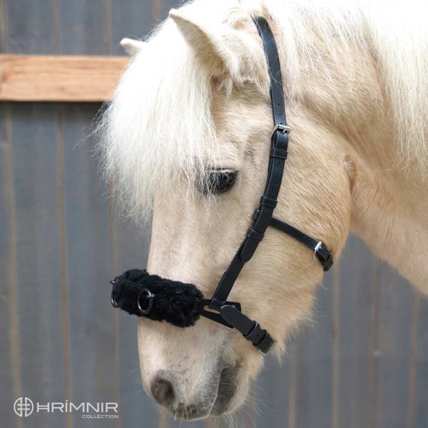 Zoom bild av hrimnir träns