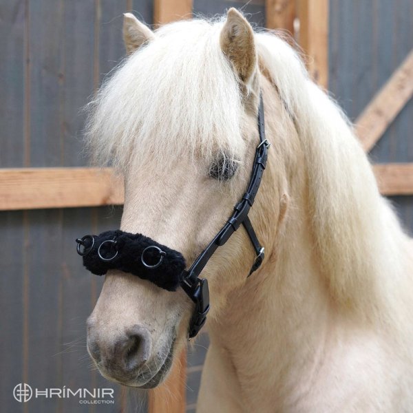 Zoom bild av hrimnir träns