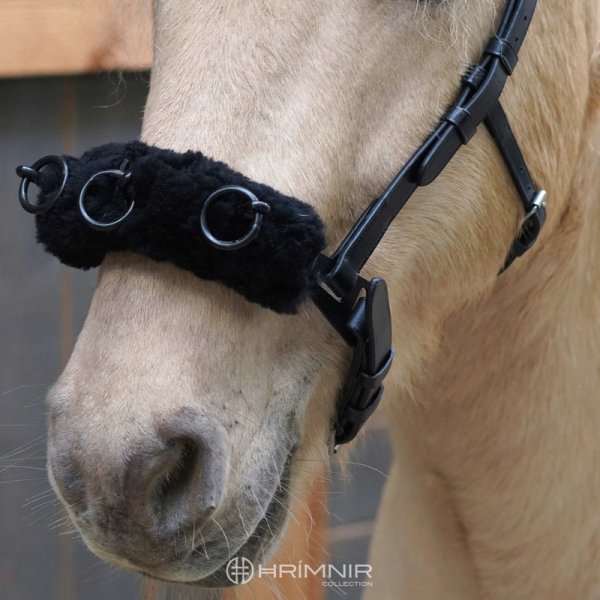 Zoom bild av hrimnir träns