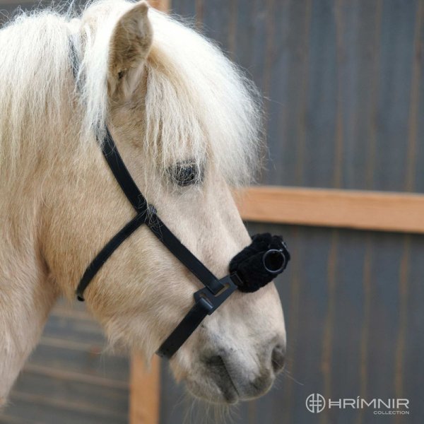 Zoom bild av hrimnir träns