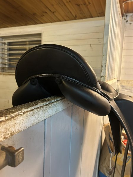 Zoom bild av töltrider islandshästsadel