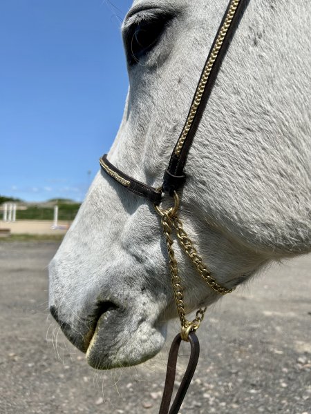 Zoom bild av visningsgrimma