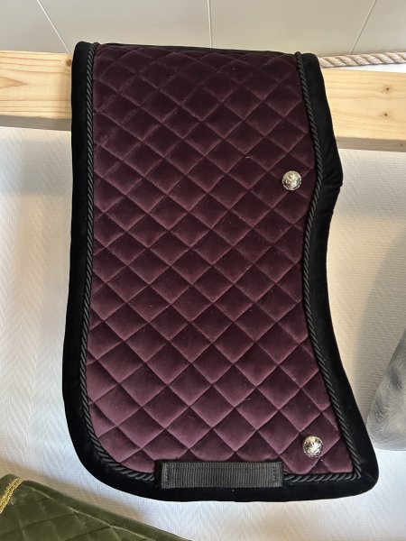 Zoom bild av Padd - Plommon